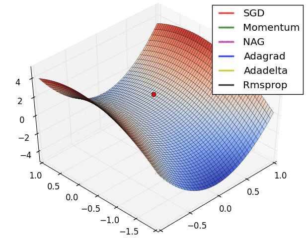 Optimizers navigating loss landscapes